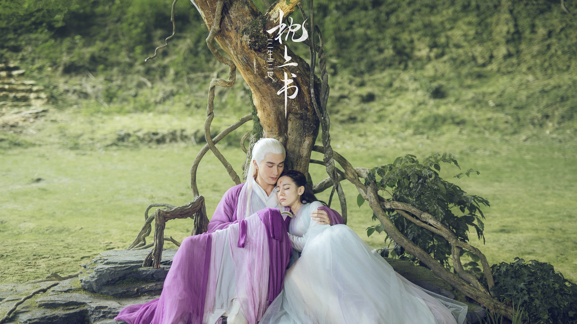 扭转之翼与孤高之花,亚洲羽坛的双面叙事