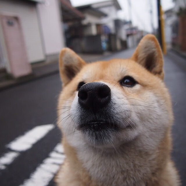 坎特的悲壮独舞，当钢铁意志撞上战术风暴，一己之力如何扛起千钧重压？