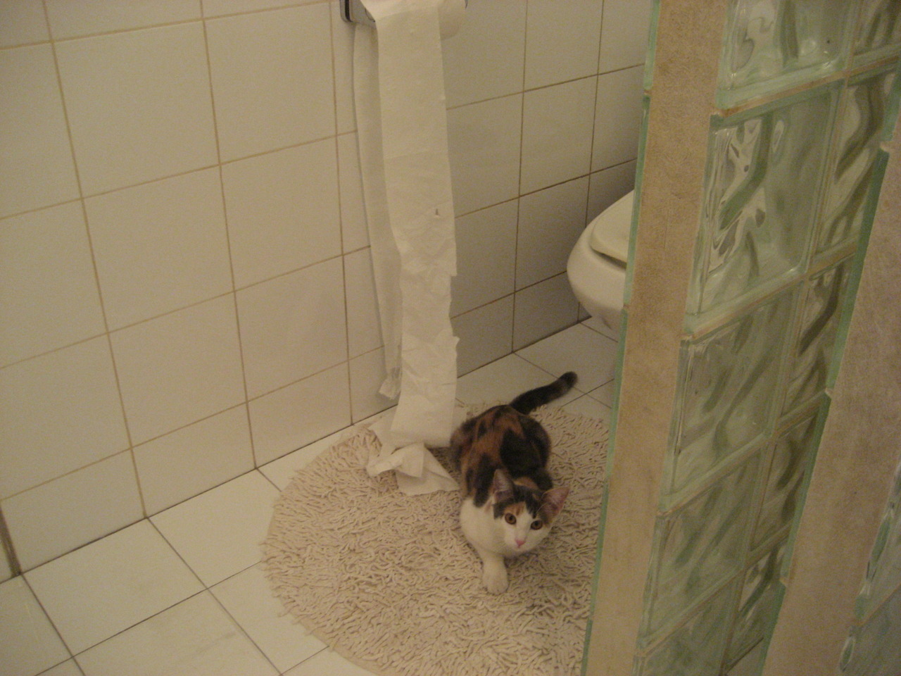 硬地王者的红土宣言,梅德韦杰夫关键制胜如何让美网气质碾压蒙特卡洛传统