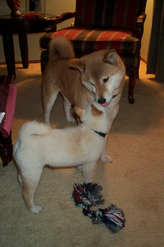 红土之魂，法网险胜美网的唯一性之谜，纳达尔何以惊艳四座？