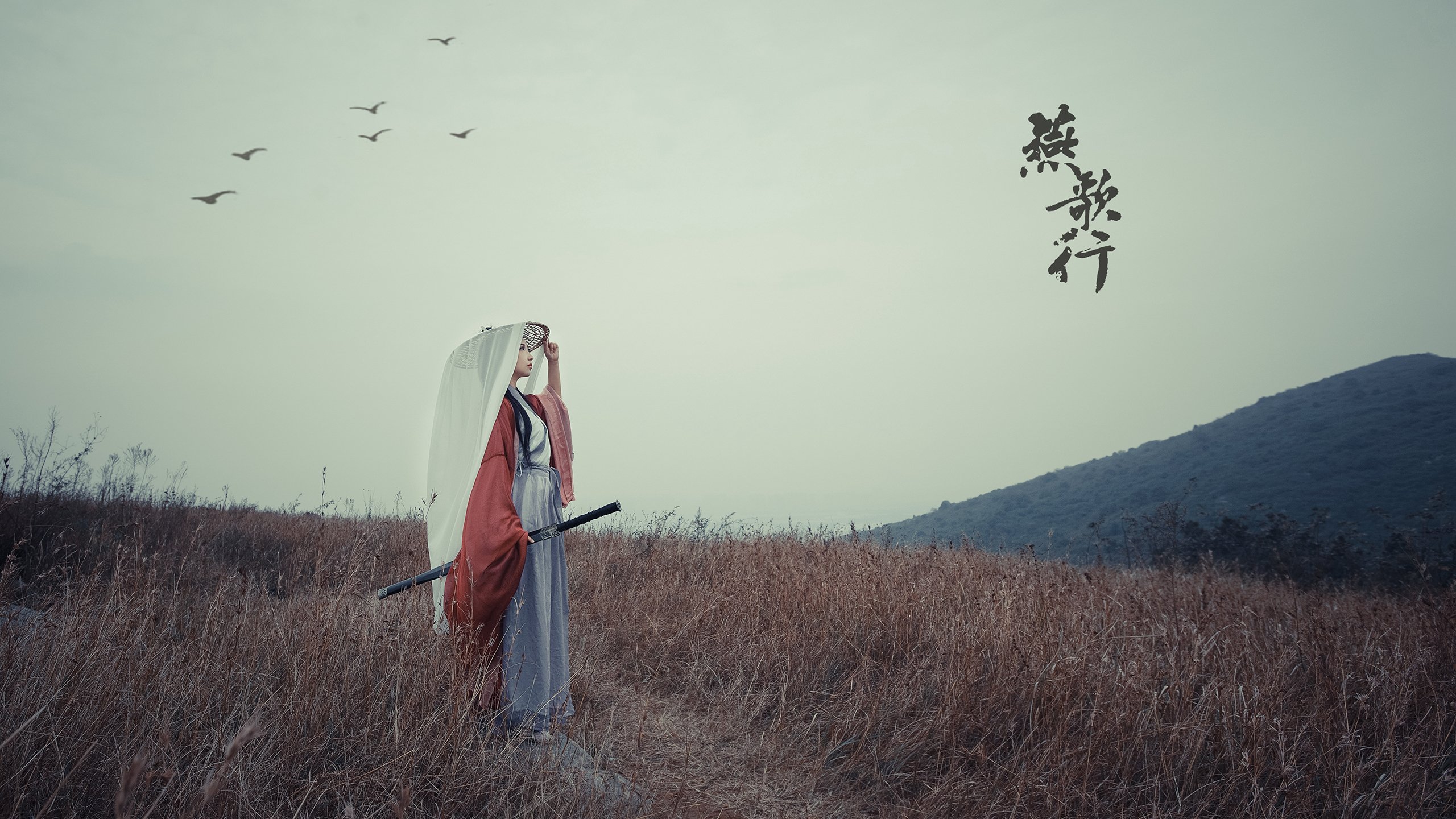 新欧洲王在此诞生，马琳点燃闪电战，德意志战车碾碎高卢雄鸡