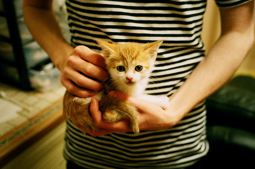 铁幕前的最后之舞，克瓦拉茨赫利亚如何刺穿威尔士人的钢铁防线