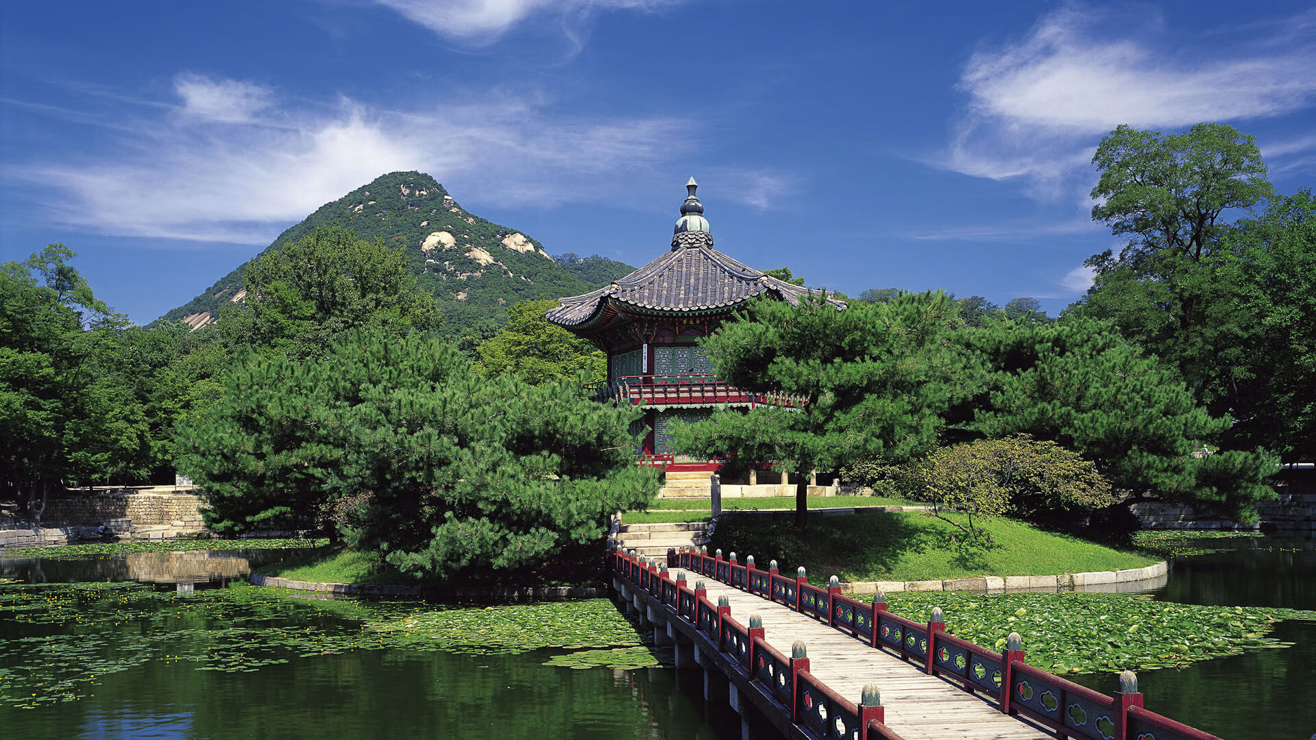 跨界巅峰对决，欧冠淘汰赛舞台上的篮球奇迹—广东队狂胜雄鹿纪实