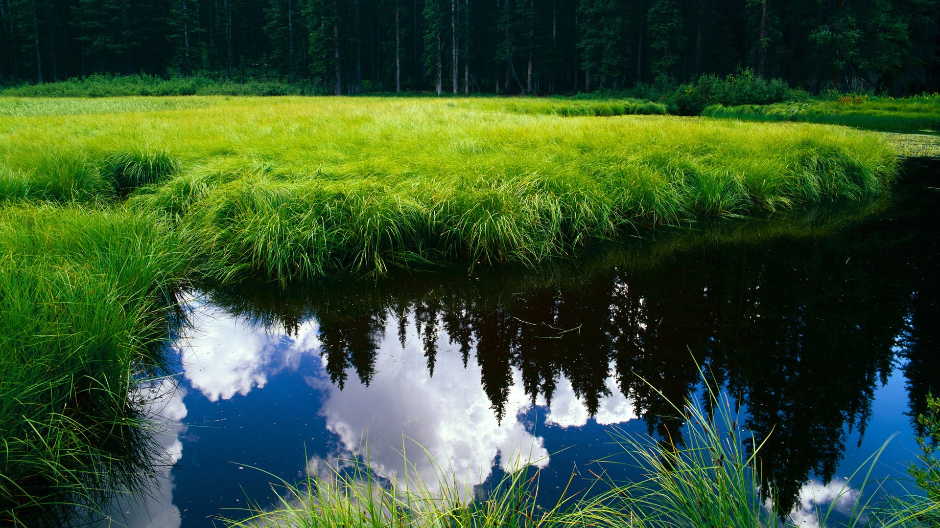 文化西决,当中国制霸埃及,基耶萨式的文化接管如何悄然上演?