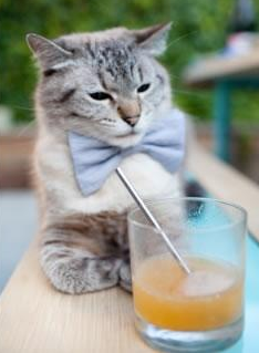 足球世界的双重奏,阿尔及利亚收割委内瑞拉,卡塞米罗德甲争冠战一战封神