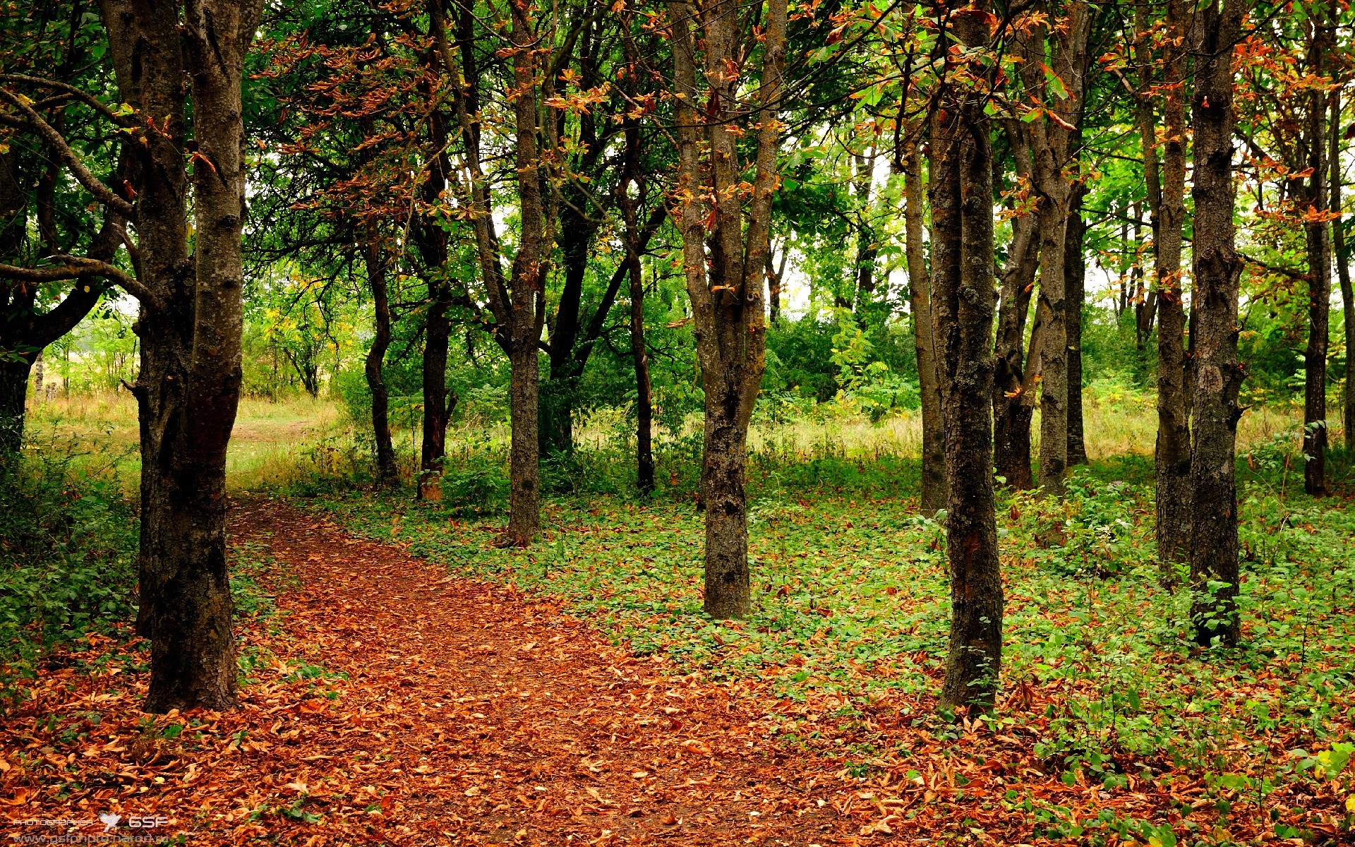 巨星球VS魔法秀，爱德华兹50分璀璨之夜，为何仍不敌魔术最后时刻的致命团队魔法？