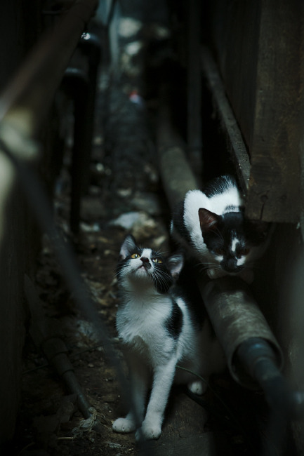 跨越欧亚大陆的逆改剧本，当韩国节奏撕碎瑞典精密掌控，迪亚斯于无声处点燃惊雷