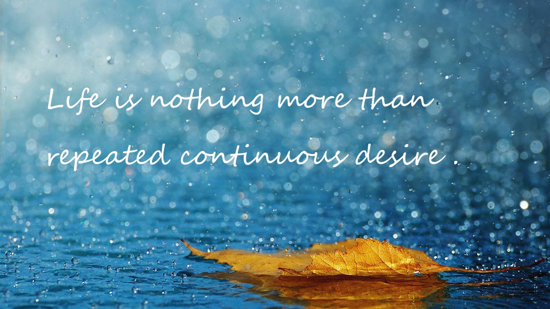 血拼到底！辽宁苦战五局终破浙江，冷面刺客保罗剑出鞘定乾坤