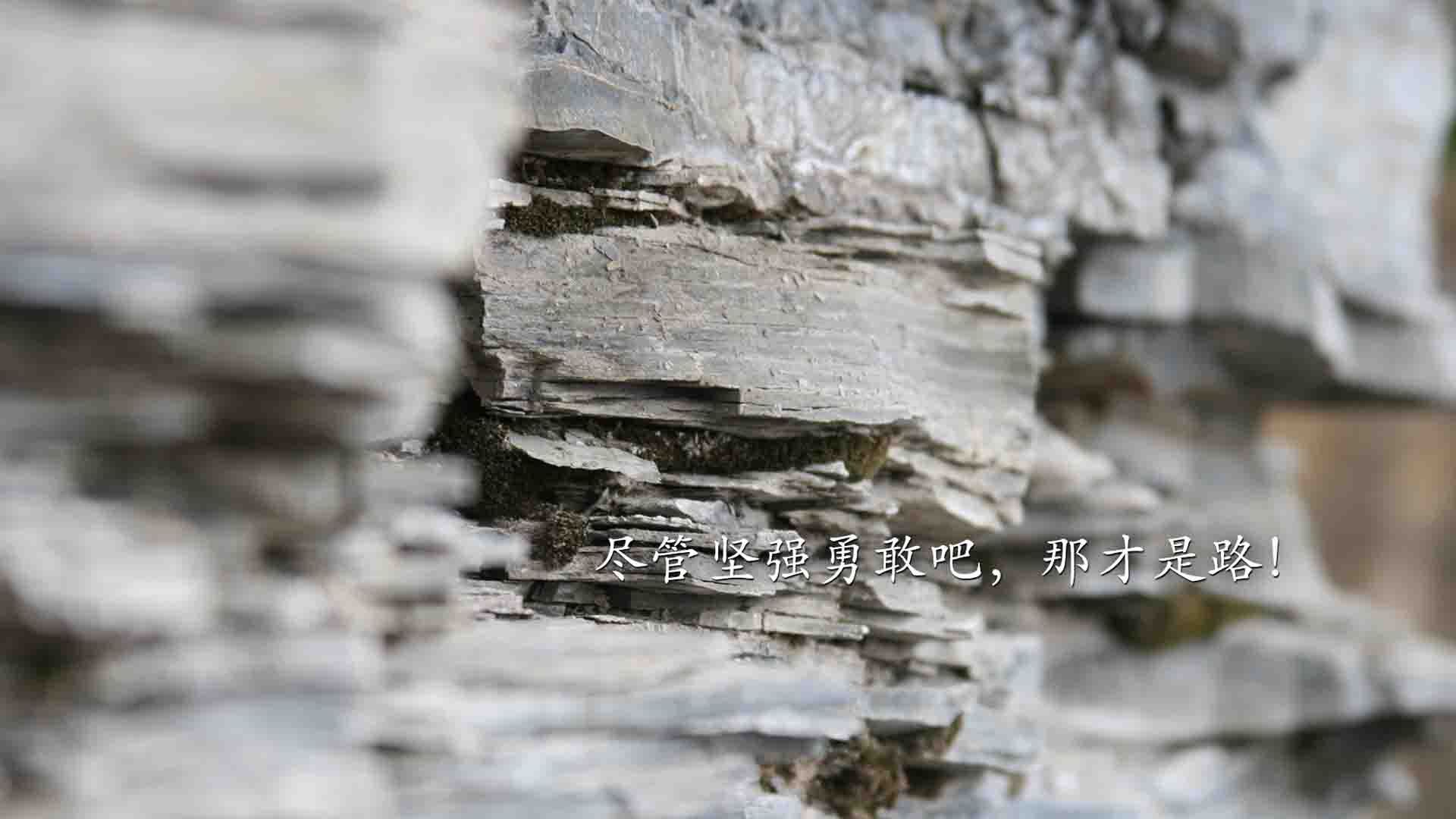 魔术之夜,杰伦·格林如何用不可能的表演击落太阳