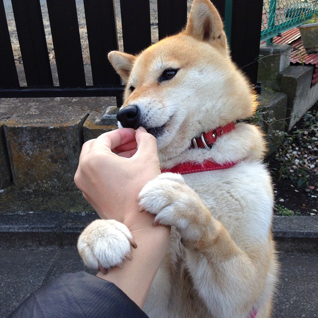 冰火淬刃,爱德华兹的十一连斩与独行侠的窒息时刻