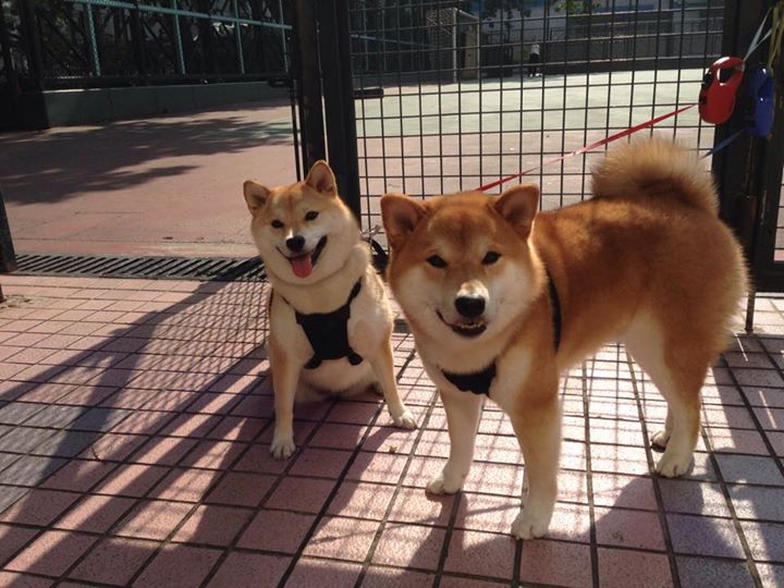 23秒独得8分!伦纳德末节爆发诠释巨星本色,独行侠稳扎稳打拿下火箭