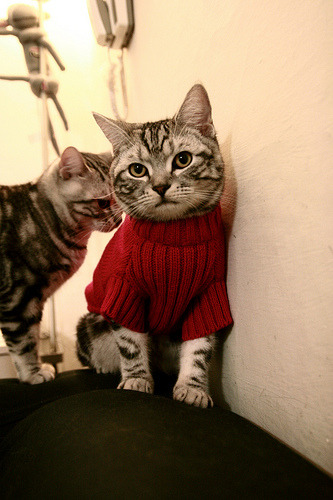 冰与火之歌，霍勒迪攻防一体封印步行者，76人横扫晋级彰显冠军相