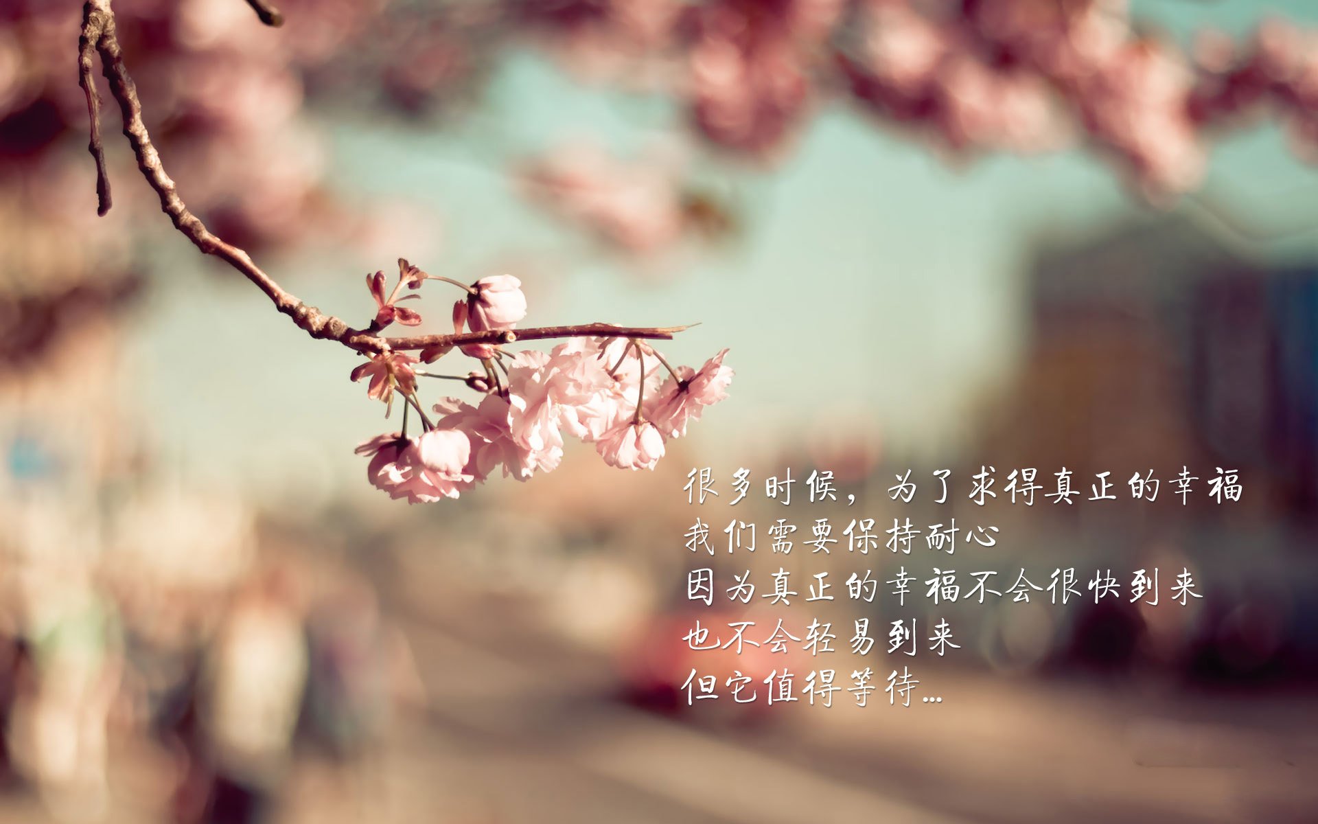 这是一篇围绕您给出的关键词创作的深度叙事文章。标题和内容旨在体现唯一性，将体育竞技、地缘政治与个人英雄主义结合在一起