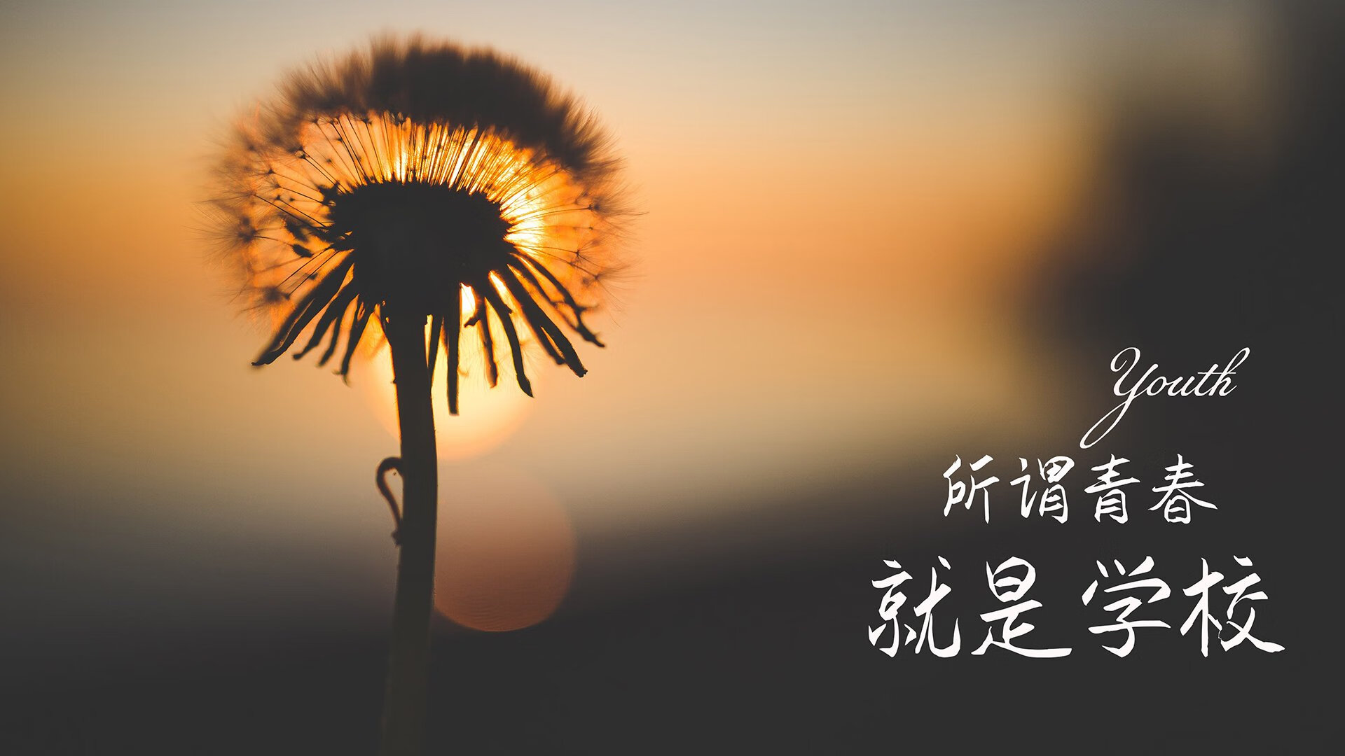 命运交叉的午后,2026世界杯B组生死战,齐耶赫的孤勇与波兰的意外滑铁卢
